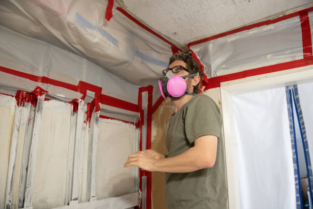 Best Mold Remediation for Vacation Homes  in Hawthorn Woods, IL